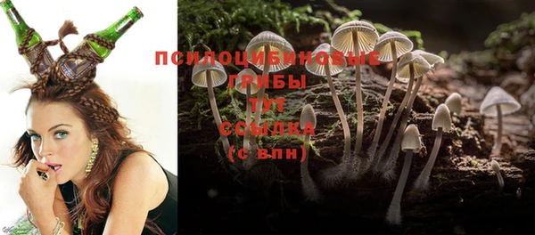 Альфа ПВП Покачи