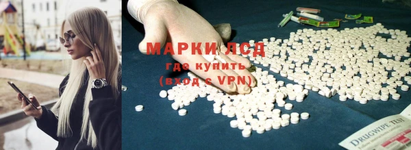 a pvp Алзамай