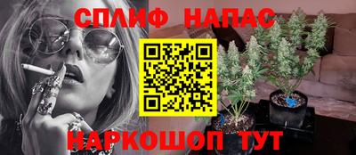 дурь Усть-Джегута
