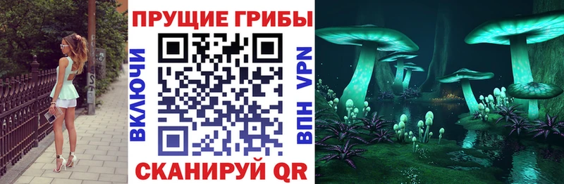 Галлюциногенные грибы Psilocybe  Кумертау 