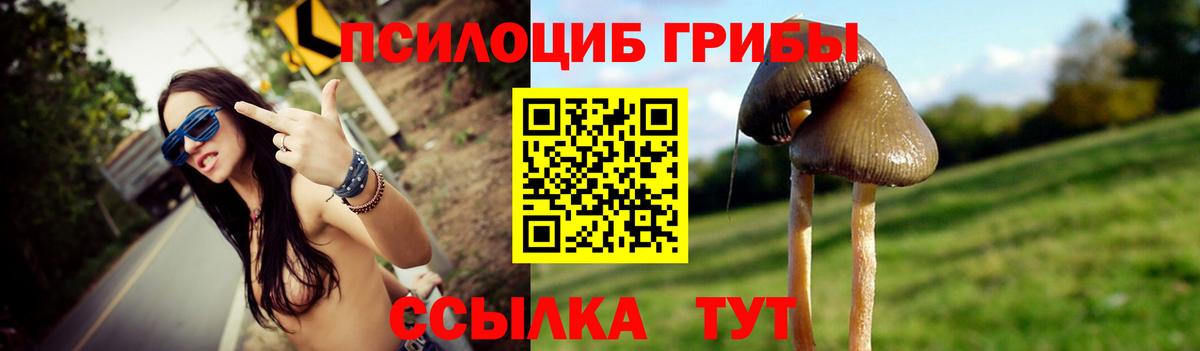 Псилоцибиновые грибы Cubensis  Вход с VPN  Кумертау 